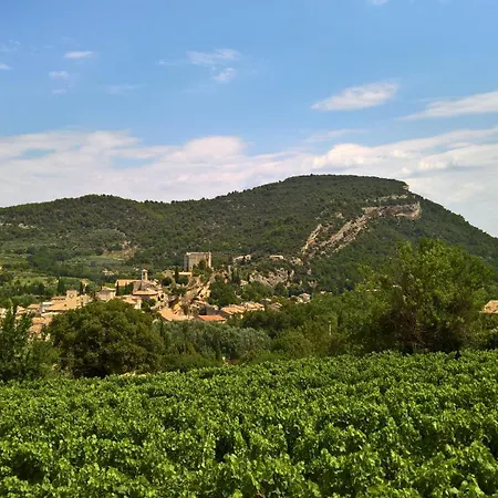 Nature Les Anoures En Provence