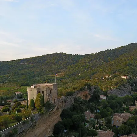 Nature Les Anoures En Provence *