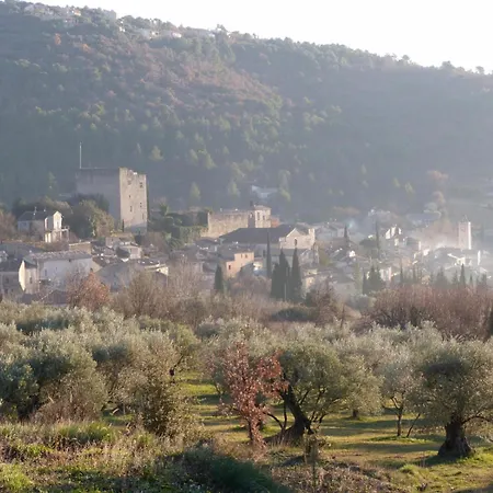 Nature Les Anoures En Provence